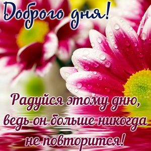 Красивые цветы с отражением
