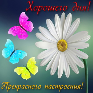 Картинка хорошего дня с ромашкой