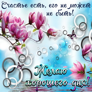 Картинка хорошего дня с цветами и бабочками