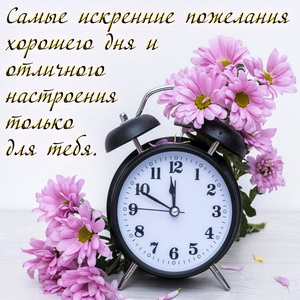 Картинка с будильником на фоне цветочков