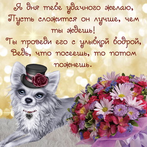Собачка в шляпке с пожеланием удачного дня