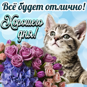Милый котик с букетом желает хорошего дня