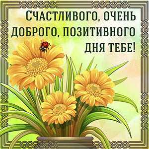 Картинка с цветами в рамке на позитивный день