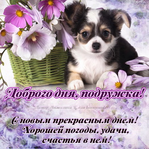 Картинка для подружки с собачкой и цветами