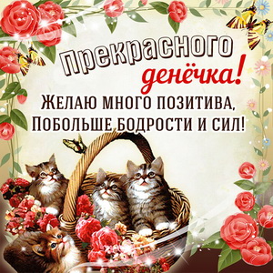 Котята в корзинке желают прекрасного денёчка
