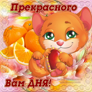 Котик желает прекрасного дня на милой картинке