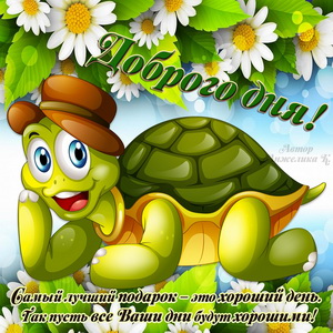 Забавная черепашка с милым пожеланием доброго дня