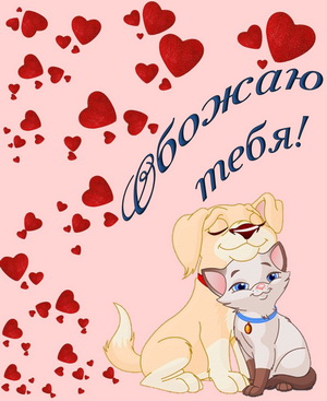 Влюбленные кошечка и собачка