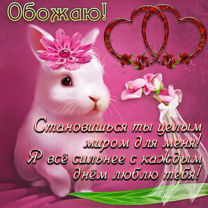 Белый кролик на красивом фоне
