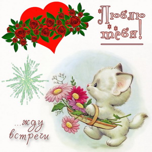 Котёнок с цветочками ждёт встречи