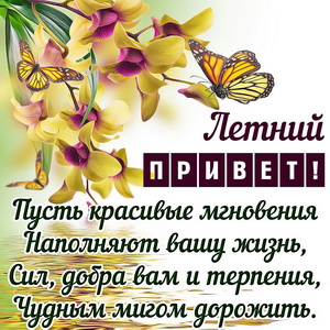 Картинка с бабочкой и добрым летним приветом