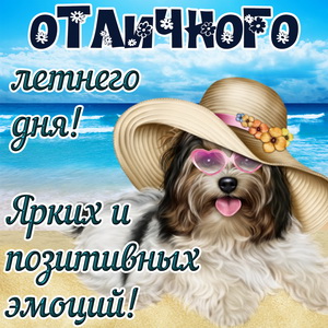 Собачка в шляпе желает отличного летнего дня