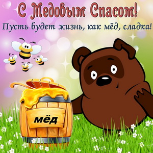 Винни-пух с медом и пчелами