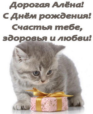 Открытка с красивым серым котенком