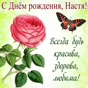 Роза и пожелание на День рождения Насте