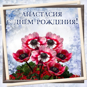 Красивые цветы в рамке для Анастасии