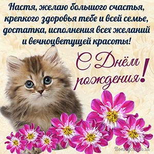 Красивое пожелание с котёнком на День рождения Насте
