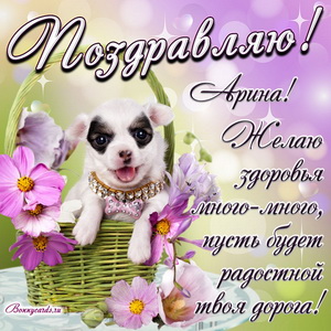 Милый пёсик в корзине и красивое пожелание Арине