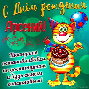 Забавная картинка Арсению на День рождения с весёлым котом