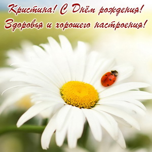 Божья коровка на ромашке для Кристины