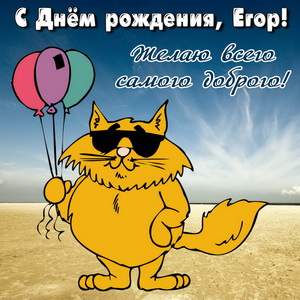 Открытка с забавным котом на День рождения Егору
