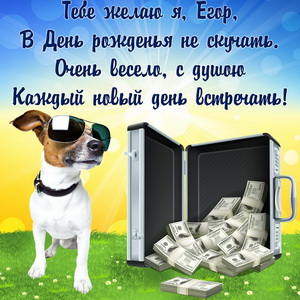 Картинка с забавной собачкой и деньгами для Егора