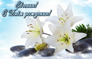 Открытка с белыми цветами для Евгении