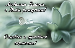 Открытка с бабочкой на белом цветке.