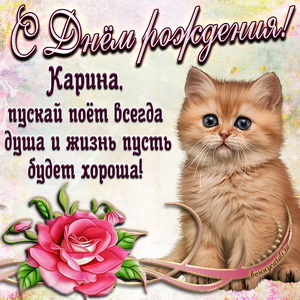 Картинка с милым котёнком и розой Карине на День рождения