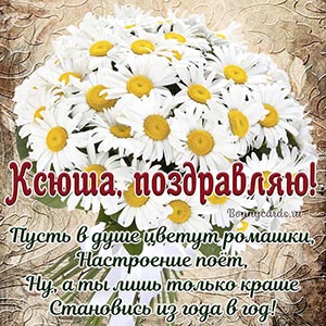 Красивая картинка с ромашками и стихами для Ксюши