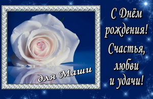 Белая роза в рамке на синем фоне.