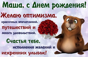Весёлый бобёр с букетом роз для Маши