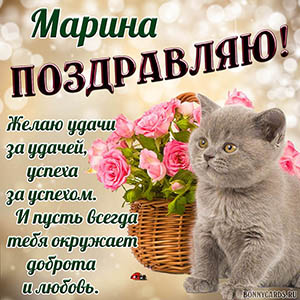 Поздравление для Марины с пожеланием и котиком