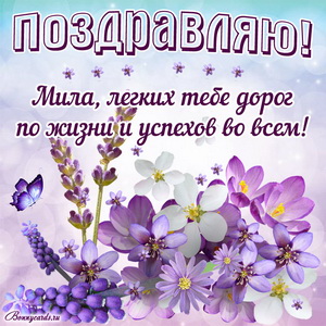 Открытка Миле с цветами, бабочкой и поздравлением