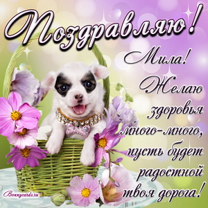Милый пёсик в корзине и красивое пожелание Миле