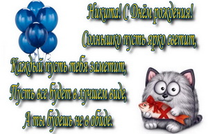 Прикольный кот с рыбкой для Никиты.