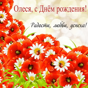 Пожелание на фоне ярких полевых цветов