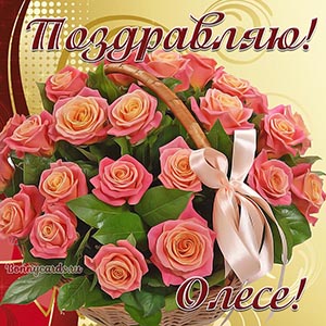 Поздравление с шикарным букетом роз и бантом Олесе