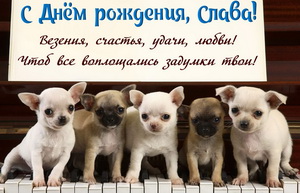 Открытка для Славы с забавными собачками на пианино