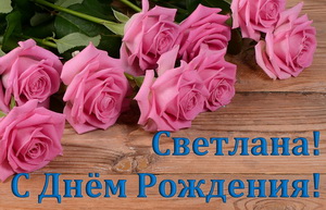 Розовые розы Светлане на День Рождения.