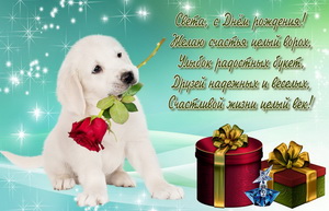 Подарки и собачка с розой для Светы.