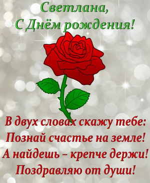 Открытка с пожеланием и розой на блестящем фоне