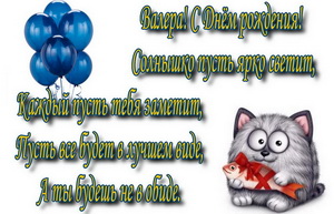 Прикольный кот и пожелание для Валеры.