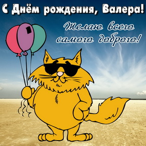 Кот с шариками поздравляет Валеру