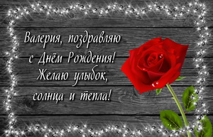 Красная роза на сером блестящем фоне