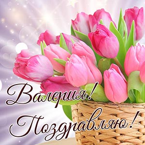 Картинка с поздравлением и тюльпанами Валерии