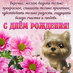 Картинка на День рождения Верочке с пожеланием и собакой
