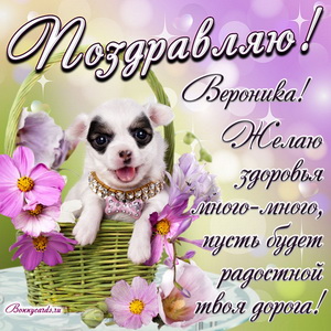 Милый пёсик в корзине и красивое пожелание Веронике