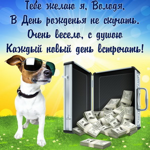 Чемодан денег и милый пёсик на День рождения Володе