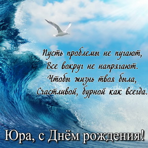 Чайка на гребне волны и пожелание Юрию